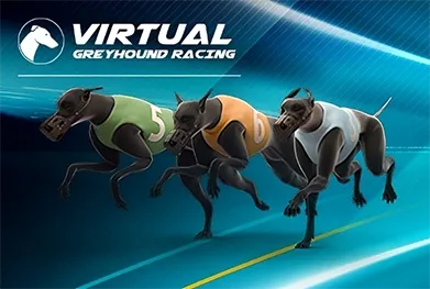 Top virtual sports